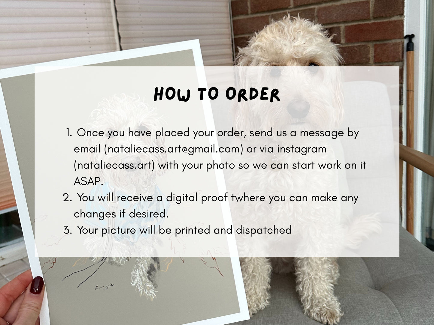 Personalised Hand Drawn Pet Portrait