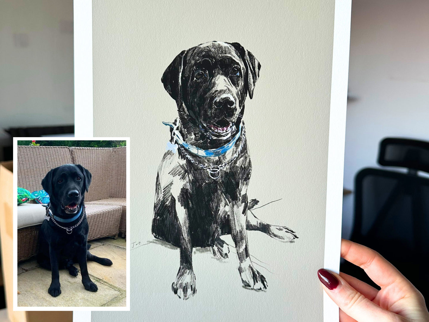 Personalised Hand Drawn Pet Portrait