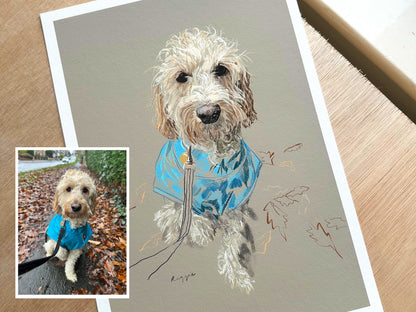 Personalised Hand Drawn Pet Portrait