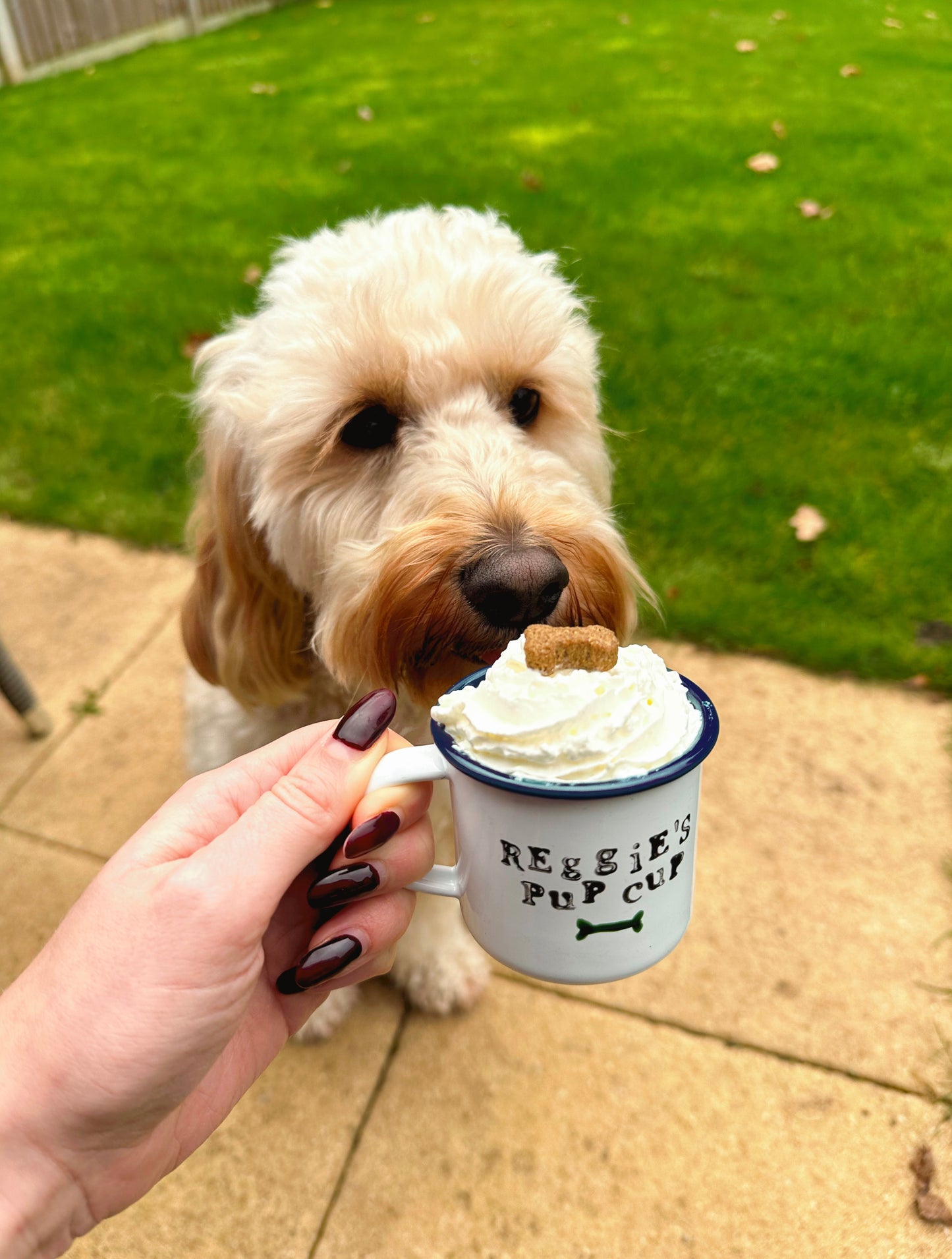 Personalised Puppuccino Cup