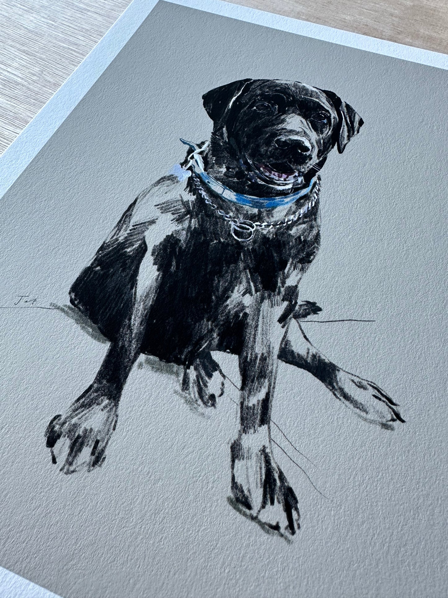 Personalised Hand Drawn Pet Portrait