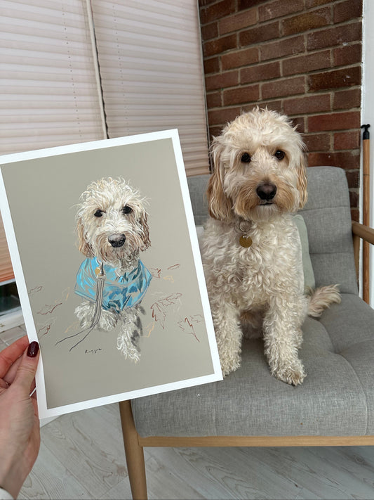 Personalised Hand Drawn Pet Portrait