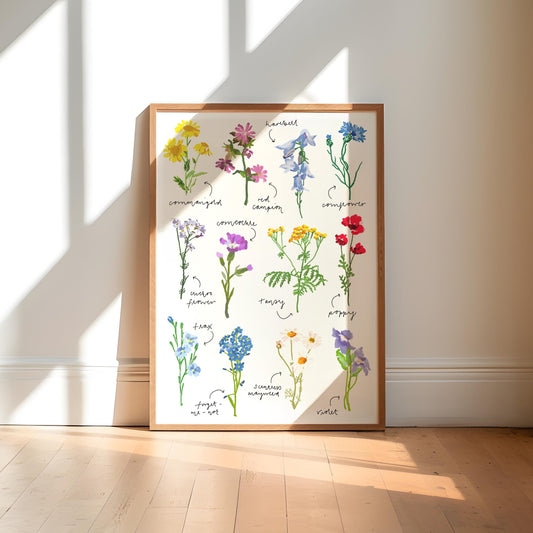 Wildflower Art Print